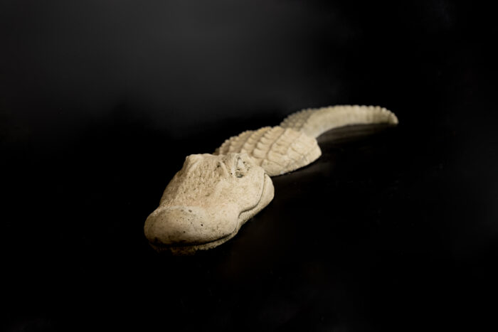 Medium 3pc Gator - Image 2