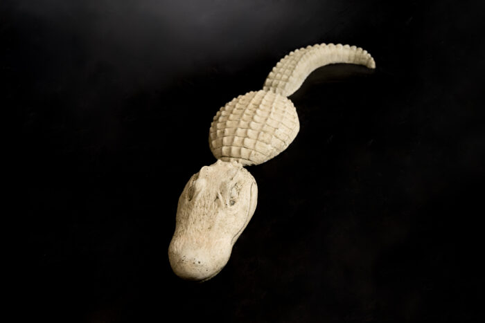 Medium 3pc Gator - Image 3