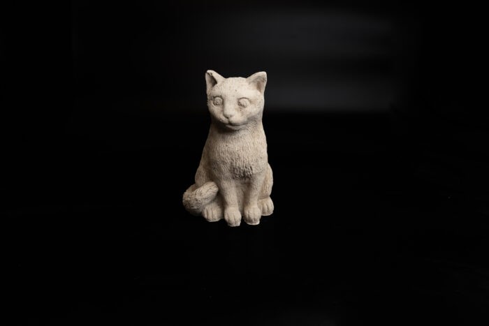Sitting kitten