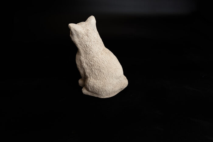 Sitting kitten - Image 3