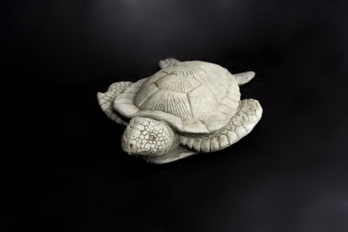 Medium Sea Turtle