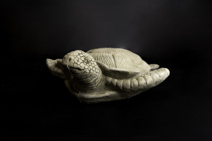 Medium Sea Turtle - Image 2