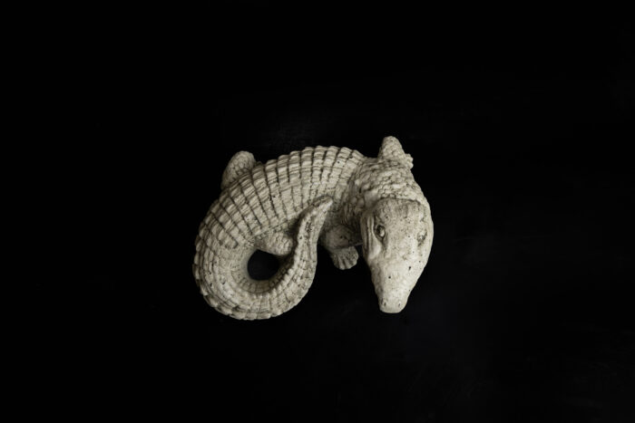 Baby Gator - Image 2