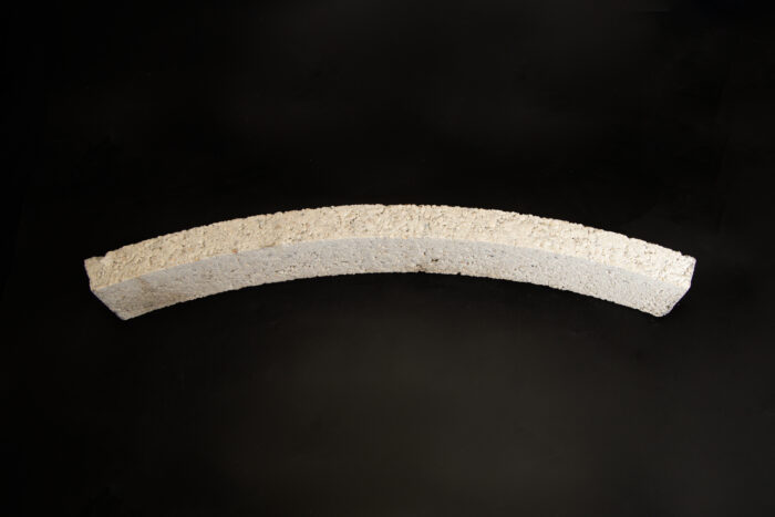 Tree Rings - Image 6