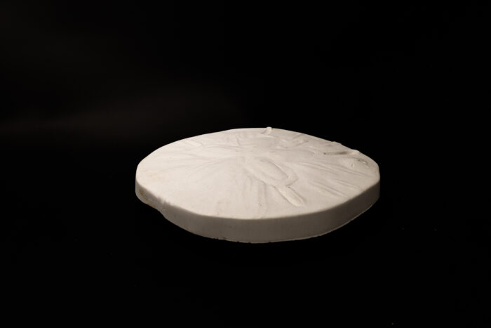 Sand Dollar Stepping Stone - Image 3