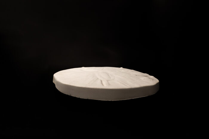 Sand Dollar Stepping Stone - Image 4